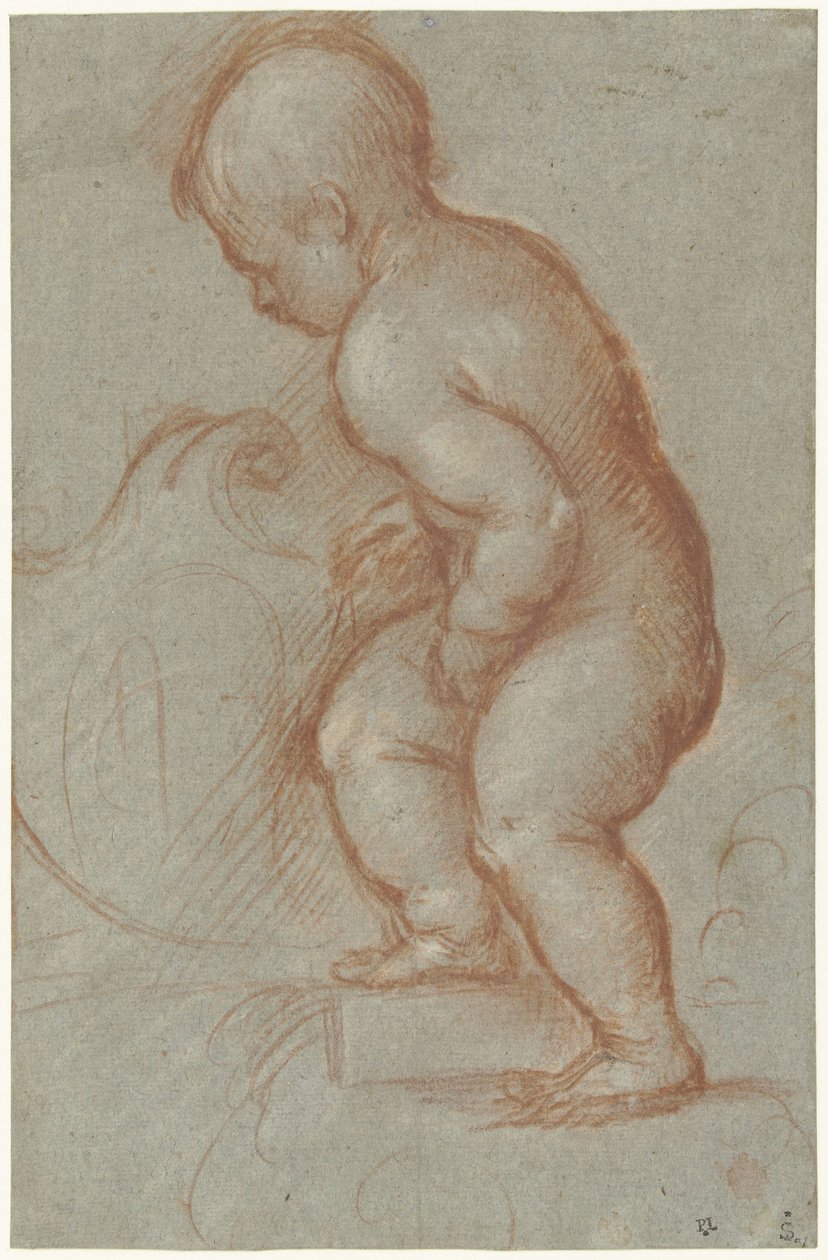 Putto z herbem autorstwa Pordenone (attributed to)