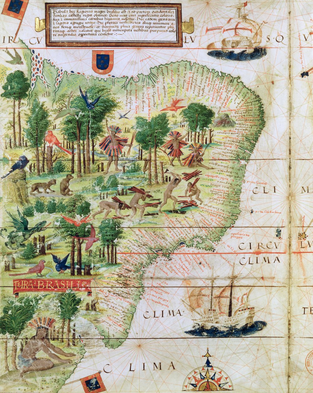 Brazylia z "Atlasu młynarza" Pedro Reinela, ok. 1519 r. (zdjęcie nr 75615) autorstwa Portuguese School