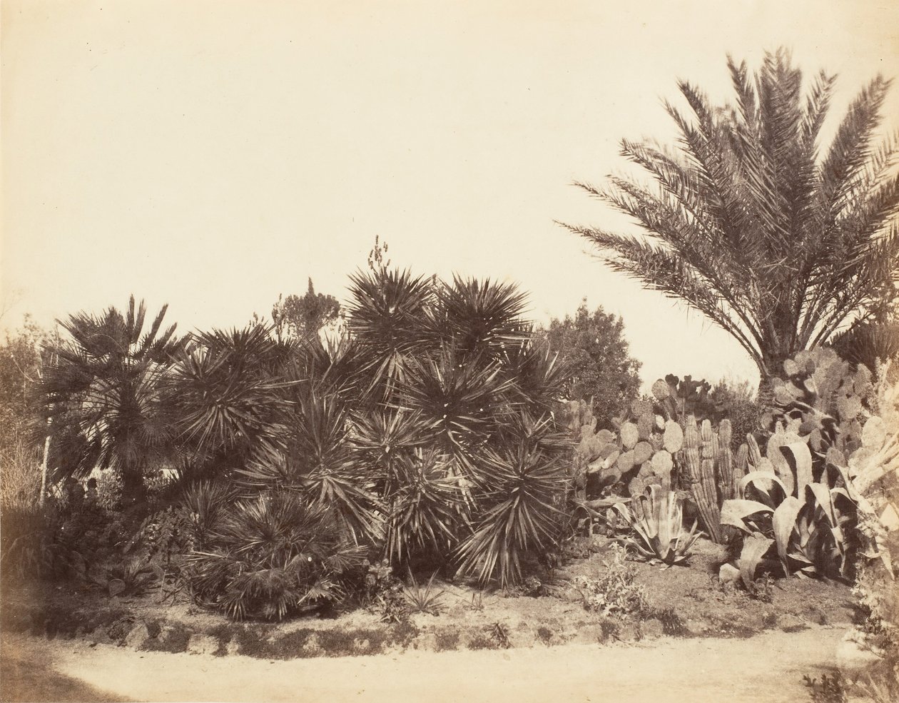 Ogród Pincian, Rzym, 1853-56. autorstwa Possibly by Jane Martha St. John.