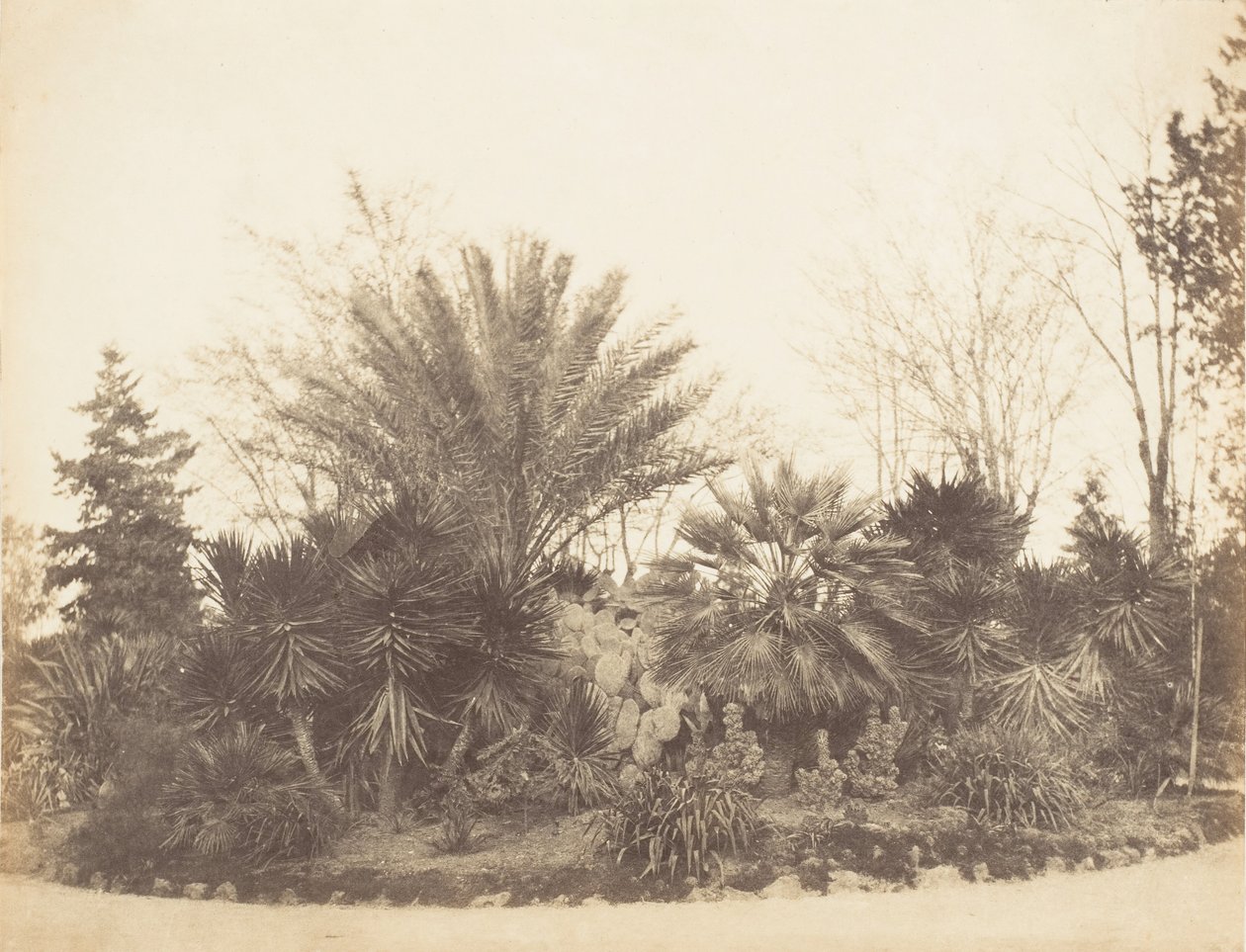 Ogród Pincian, Rzym, 1853-56. autorstwa Possibly by Jane Martha St. John.