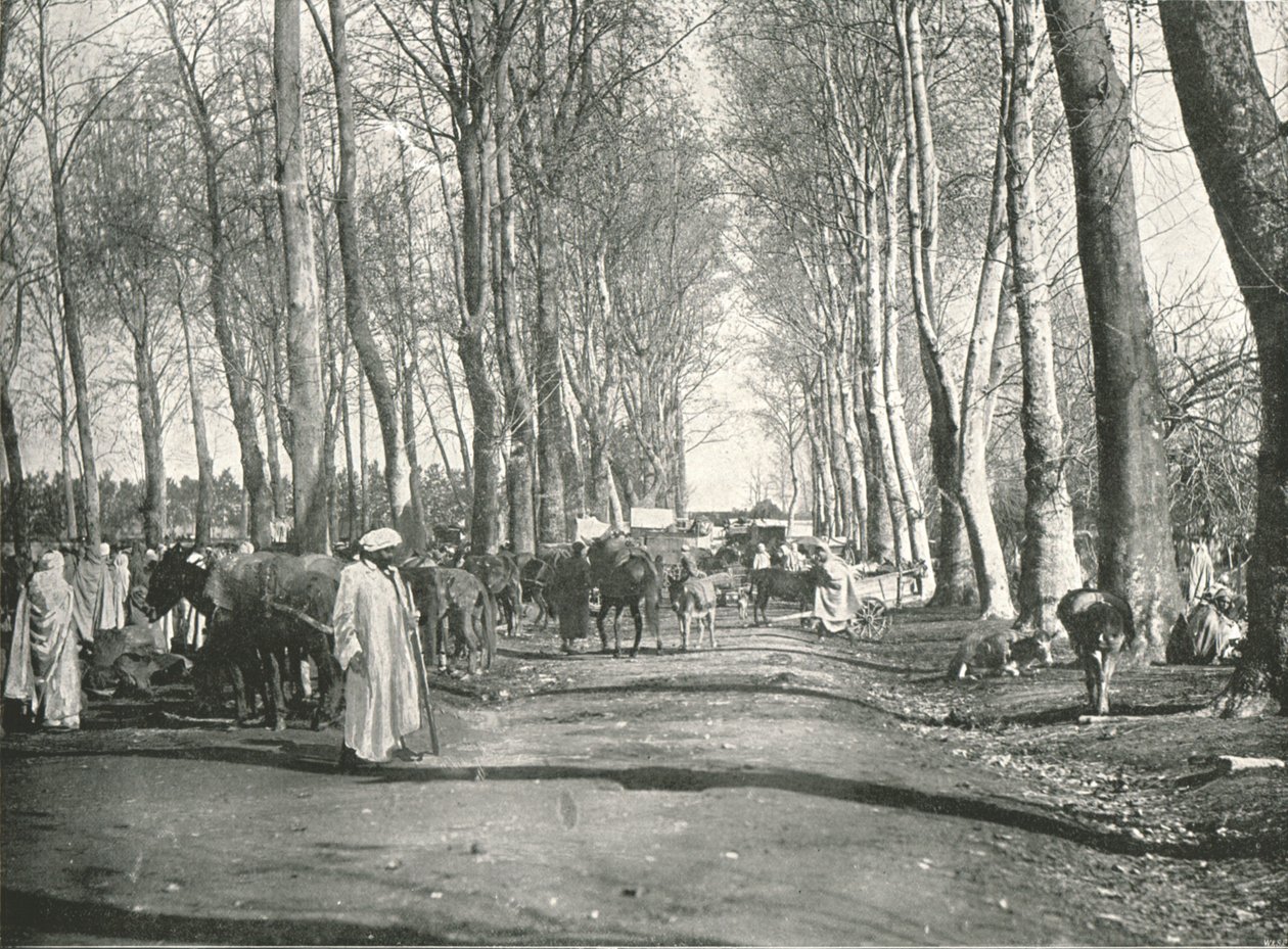 Jarmark i jarmark arabski, Boufarik, Algieria, 1895. autorstwa Poulton and Co