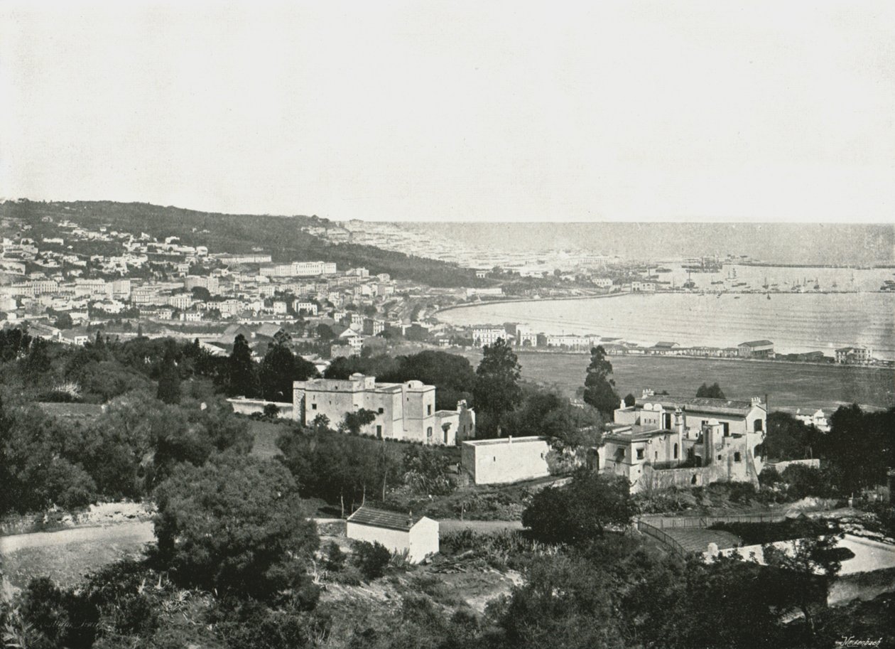 Widok z Mustafy, Algier, Algieria, 1895. autorstwa Poulton and Co