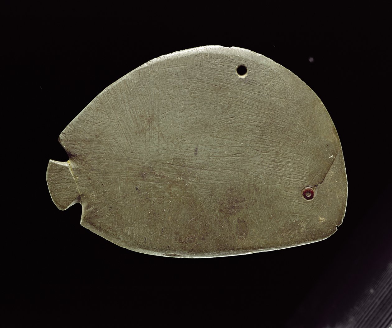 Paleta ryb, ok. 3200 pne (zielony łupek) autorstwa Predynastic Period Egyptian