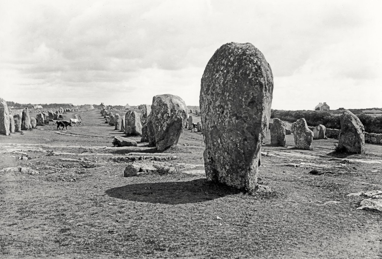 Wyrównanie Stojących Kamieni, Megalityczne, IV-III tysiąclecie p.n.e. autorstwa Prehistoric