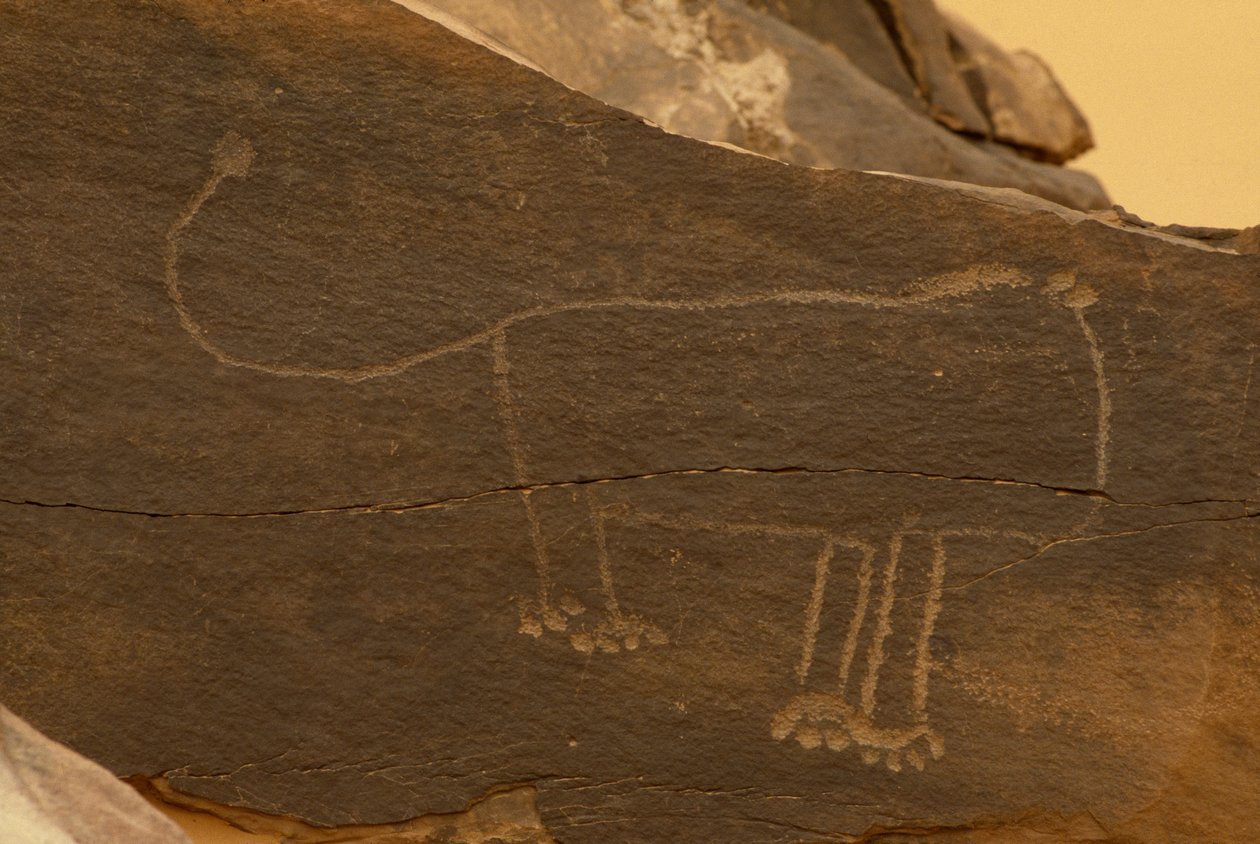 Zwierzę (rzeźba naskalna) autorstwa Prehistoric