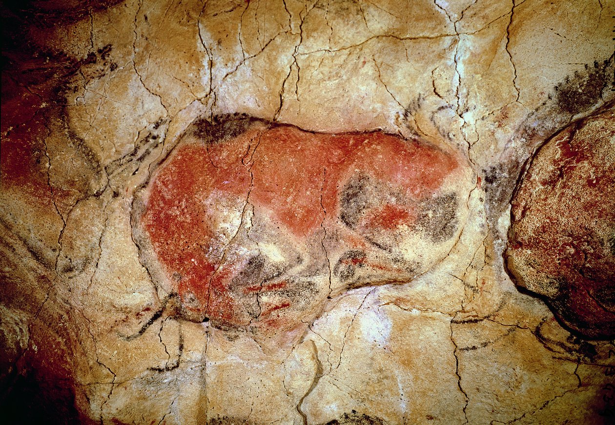 Żubr z jaskiń Altamira, górny paleolit, ok. 15000-8000 p.n.e. (malarstwo jaskiniowe) autorstwa Prehistoric
