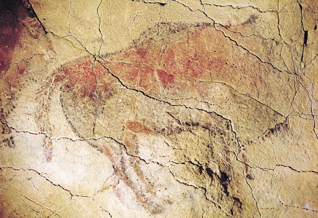 Альтамира дахь агуйн бидон, МЭӨ 15000 орчим (агуйн зураг)поли autorstwa Prehistoric