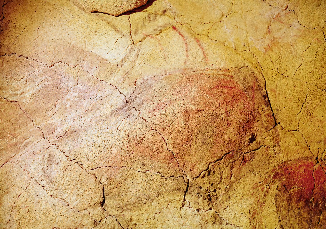 Żubr, z jaskiń w Altamira, ok. 15000 pne (malarstwo jaskiniowe) autorstwa Prehistoric