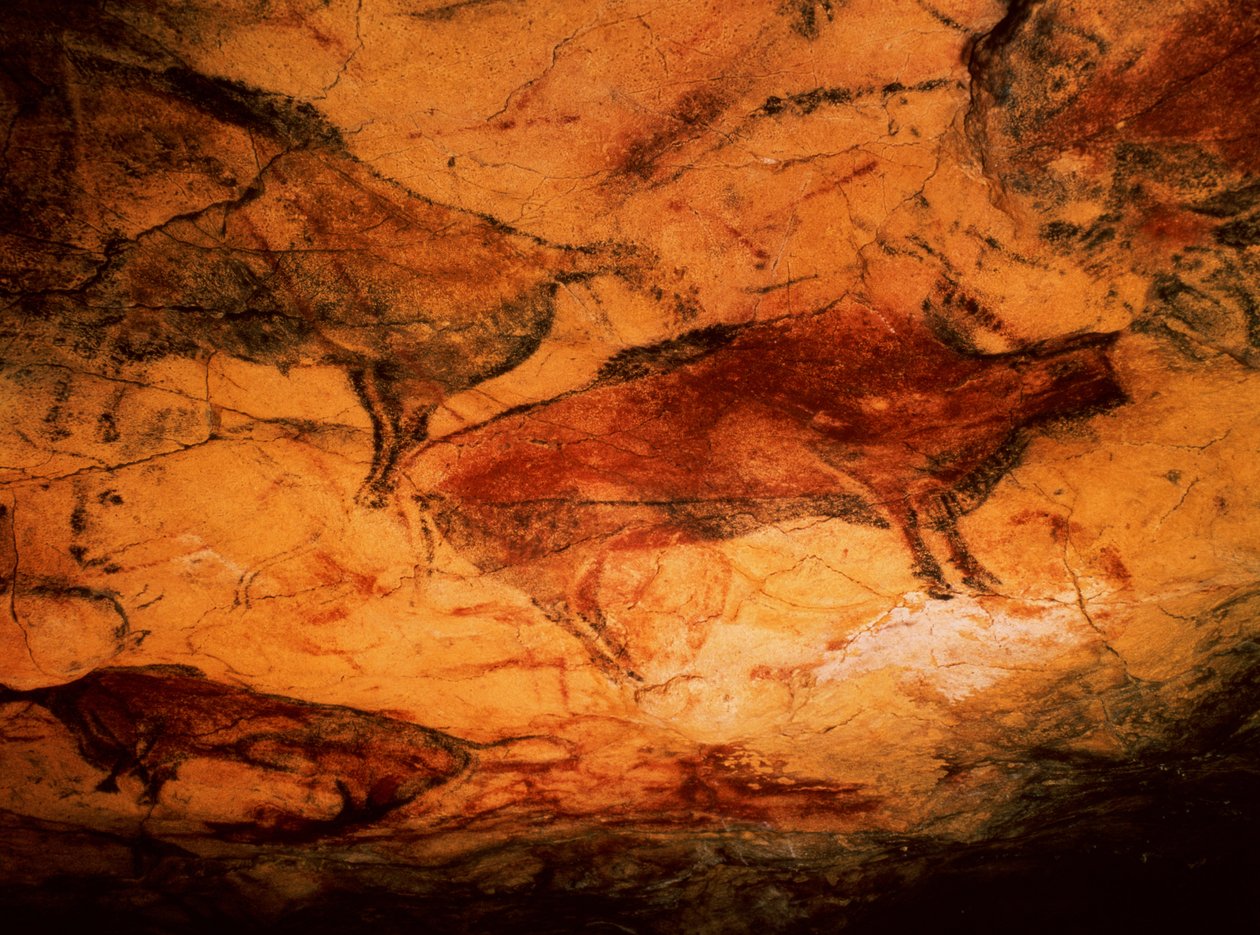 Żubr z jaskiń w Altamira, ok. 15000 pne (malarstwo jaskiniowe) autorstwa Prehistoric