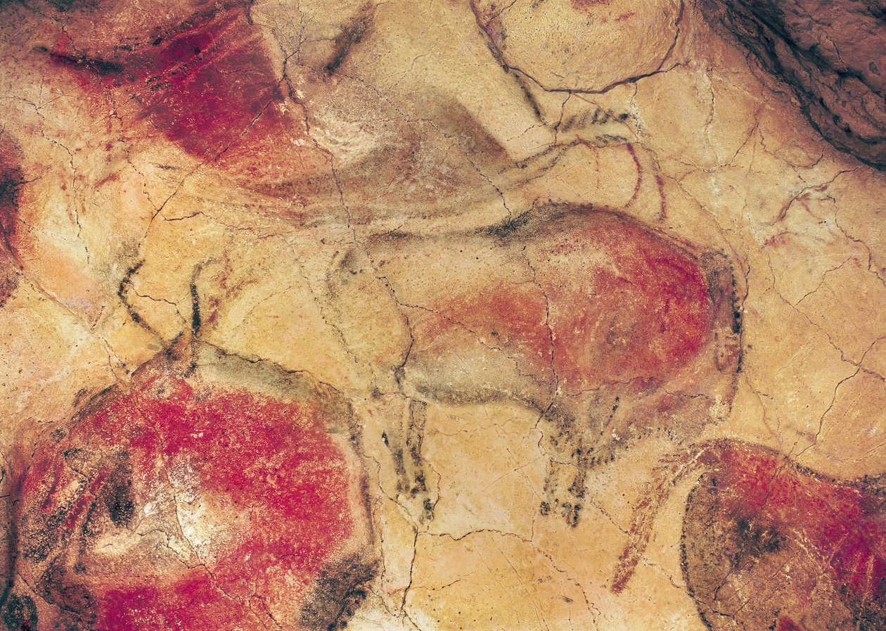 Żubry z jaskiń w Altamirze, ok. 15000 pne (malarstwo jaskiniowe) autorstwa Prehistoric