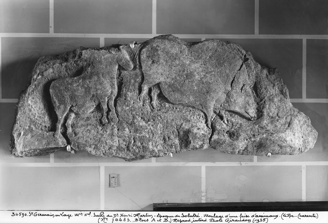 Odlew fryzu zwierząt z Le Roc de Sers, Charente, okres solutreański, 20000-15000 pne (tynk) autorstwa Prehistoric
