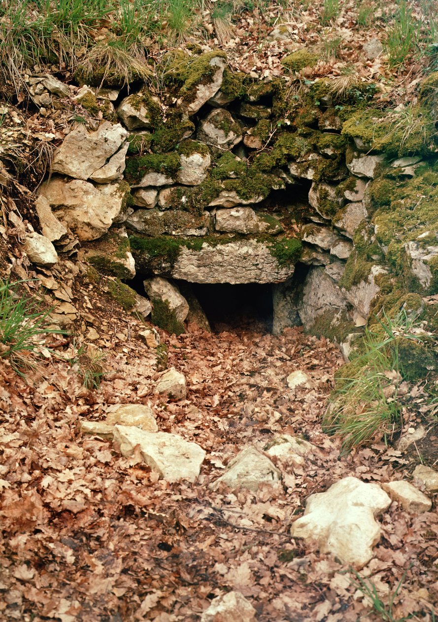 Zadaszone wejście do kurhanu autorstwa Prehistoric