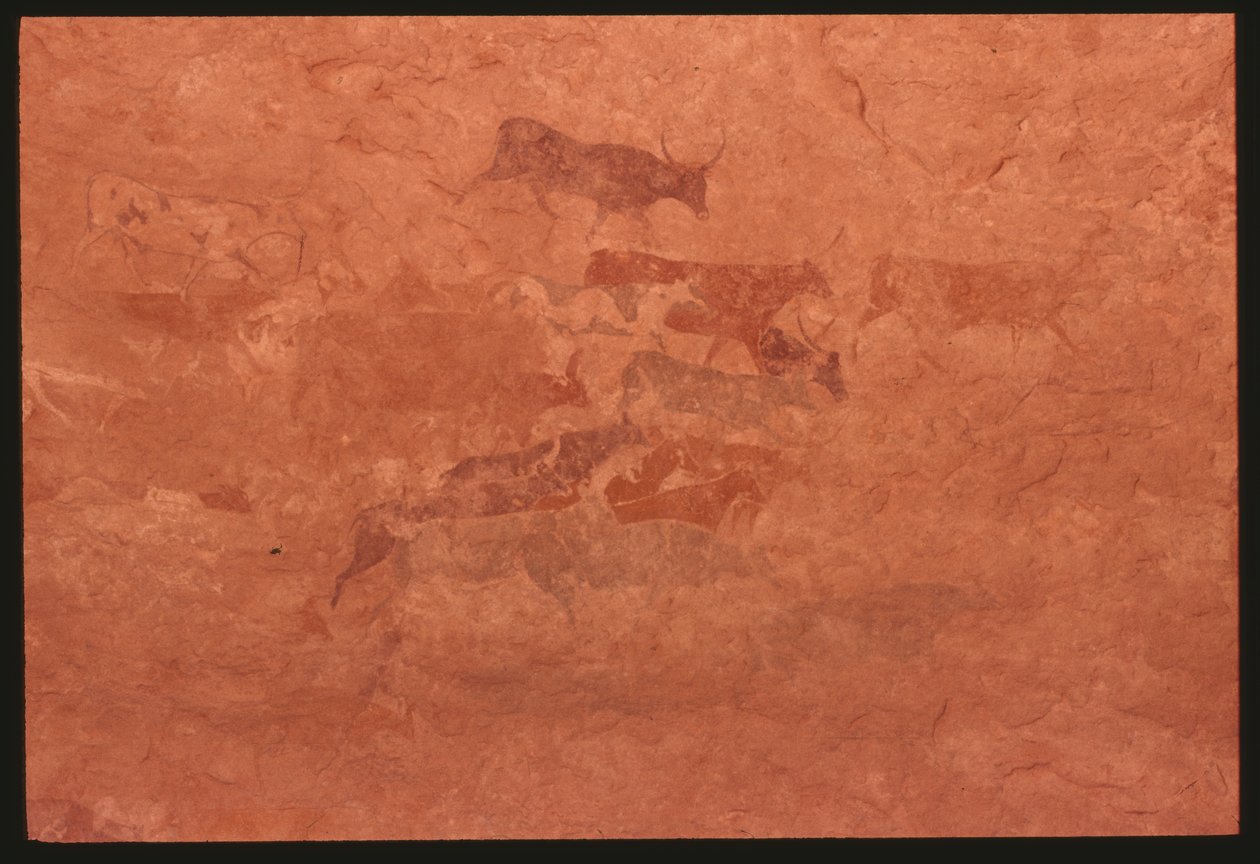 Krowy (malarstwo naskalne) autorstwa Prehistoric