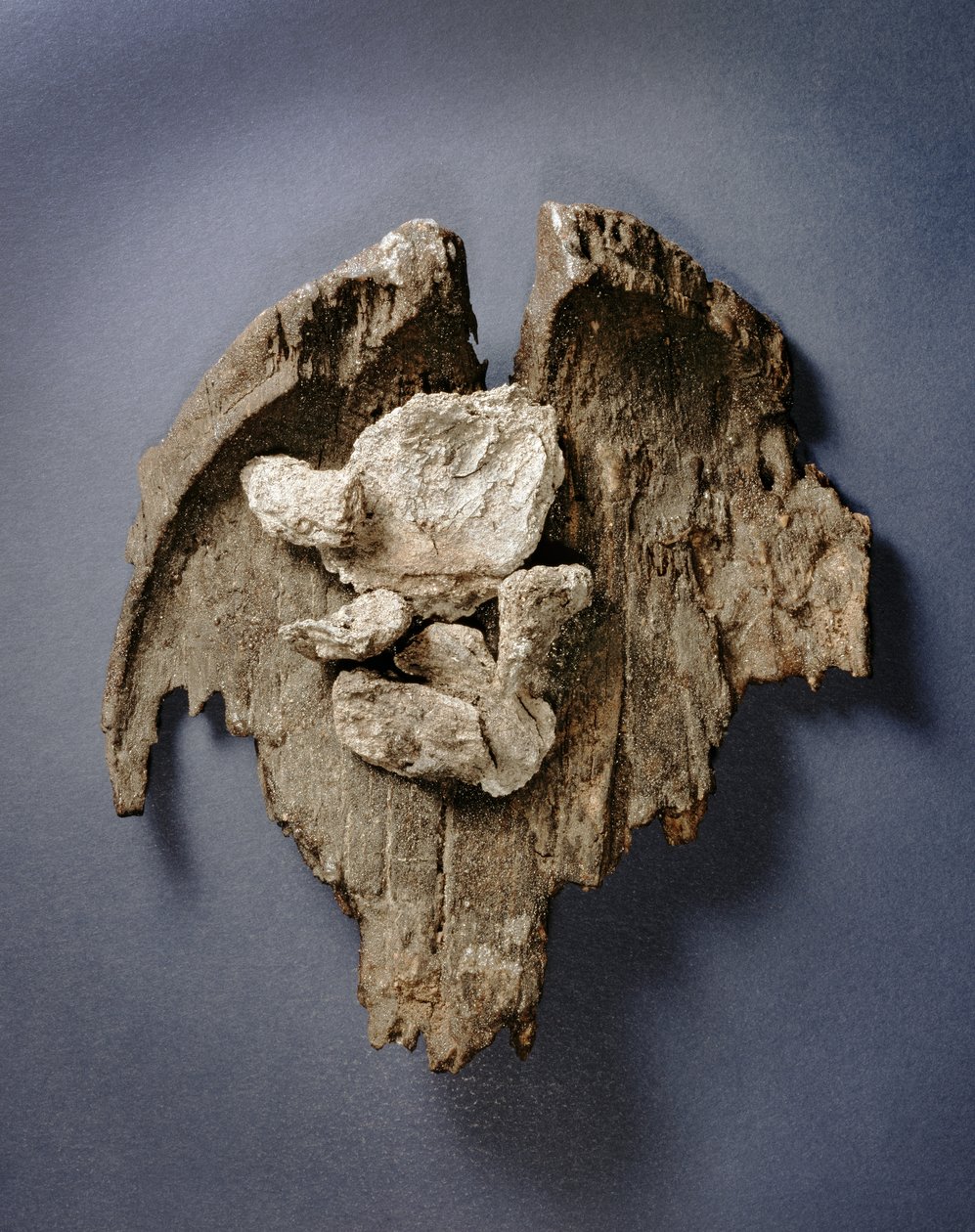 Fragment prehistorycznej potrawy z pozostałościami pieczeni, Grobowiec G73, Jerycho, (drewno) autorstwa Prehistoric