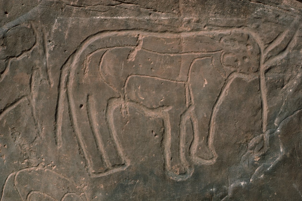 Mamut (rzeźba naskalna) autorstwa Prehistoric