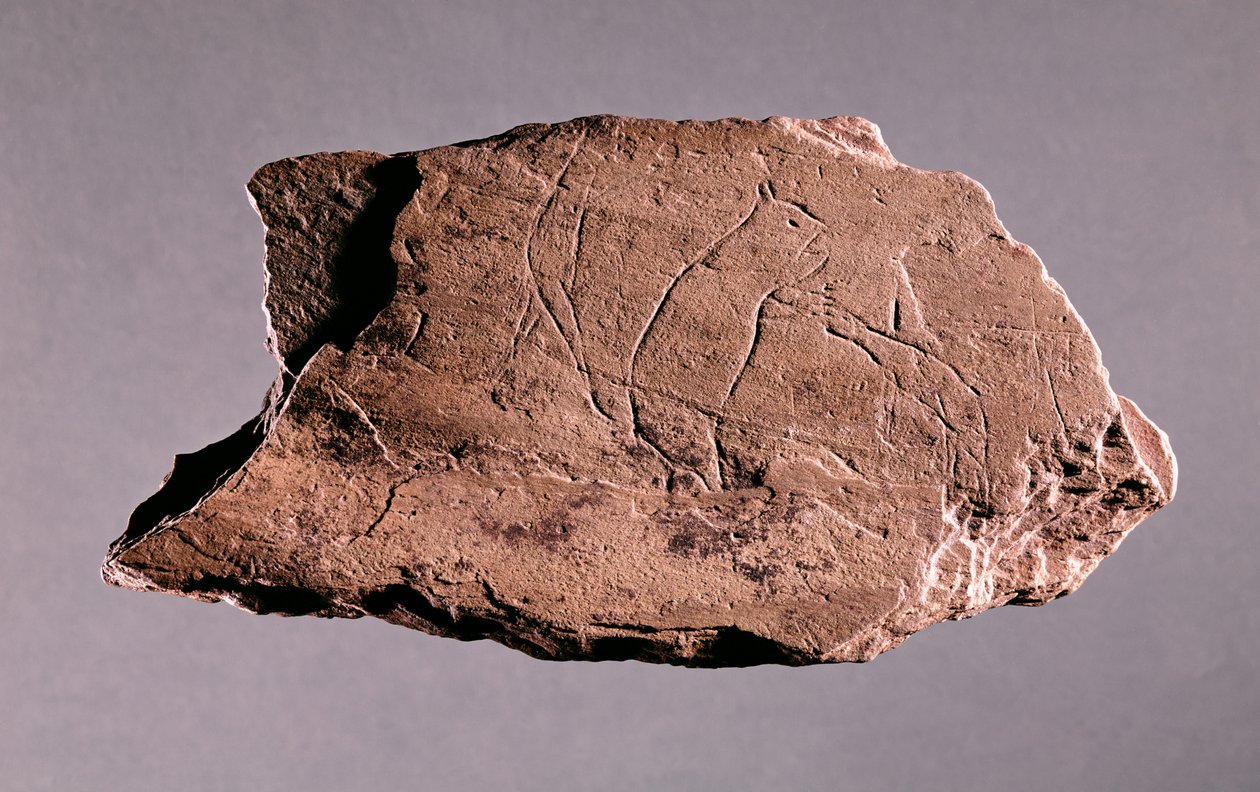 Kamyk przedstawiający człowieka zaatakowanego przez niedźwiedzia, z Pechialet, Dordogne (łupki) autorstwa Prehistoric