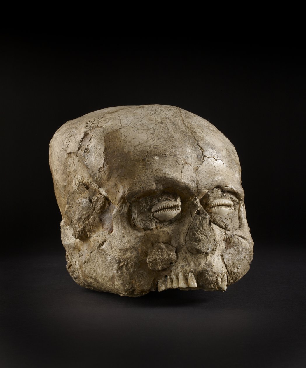 Czaszka portretowa z oczami z muszli krowich, Jerycho, ok. 7 tysiąclecie p.n.e. (czaszka, gips, muszla) autorstwa Prehistoric