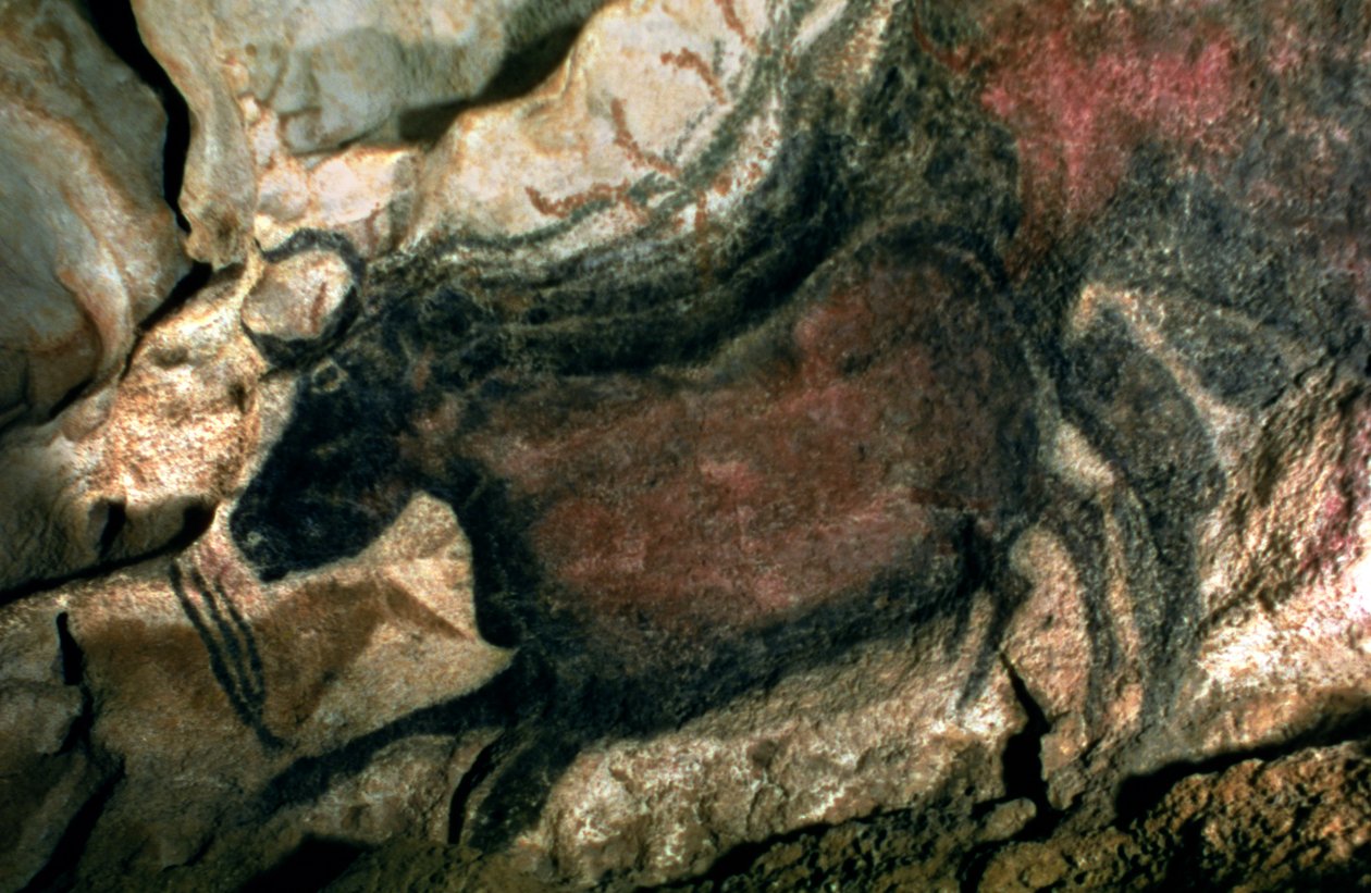 Malowidło naskalne przedstawiające czarnego byka, ok. 17000 pne (malarstwo jaskiniowe) autorstwa Prehistoric