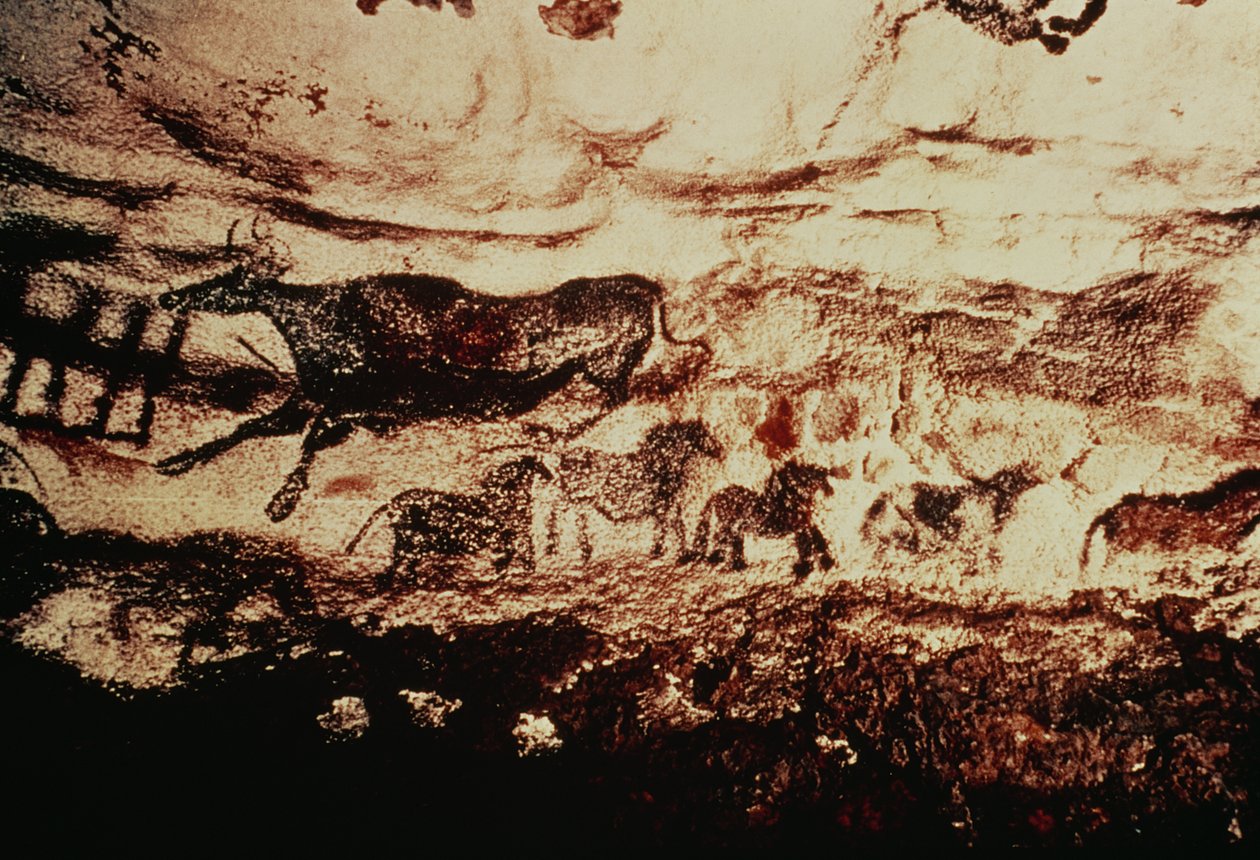 Malowidło naskalne przedstawiające skaczącą krowę i fryz z małych koni, ok. 17000 p.n.e. (malowidło naskalne) autorstwa Prehistoric