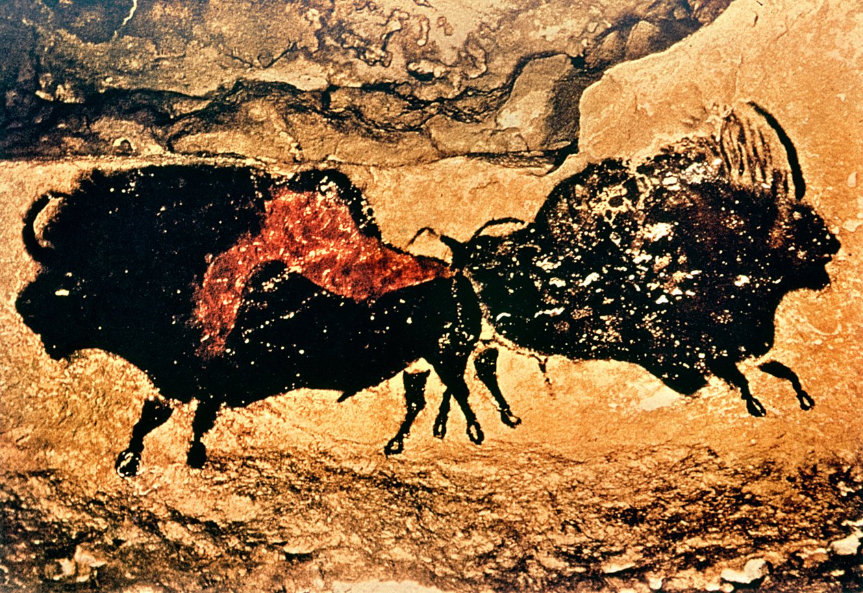 Malowidło naskalne żubra, ok. 17000 pne (malarstwo jaskiniowe) autorstwa Prehistoric
