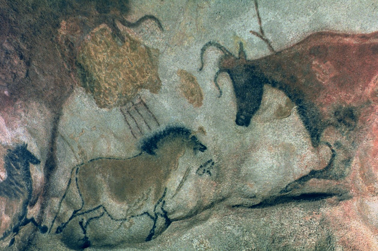 Malowidło naskalne przedstawiające konia i krowę, ok. 17000 pne (malowidło jaskiniowe) autorstwa Prehistoric