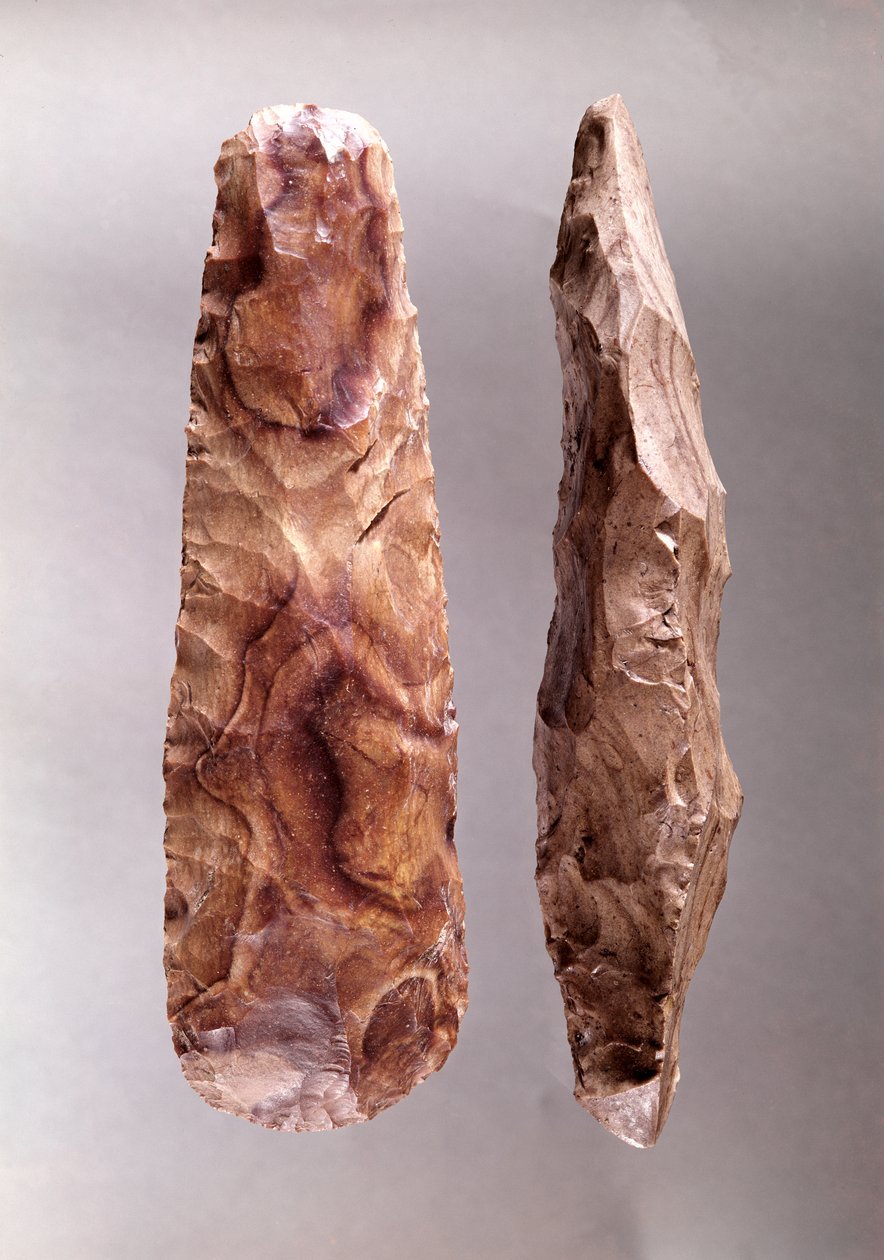 Narzędzia z Campigny, 6000-2000 pne (krzemień) autorstwa Prehistoric