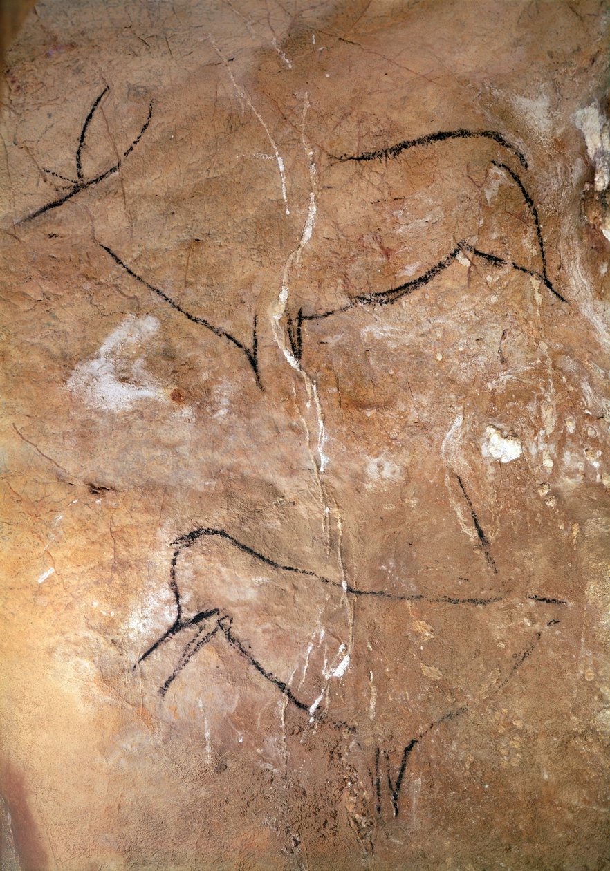 Dwa jelenie, z jaskiń Altamira, ok. 15000 pne (malarstwo jaskiniowe) autorstwa Prehistoric