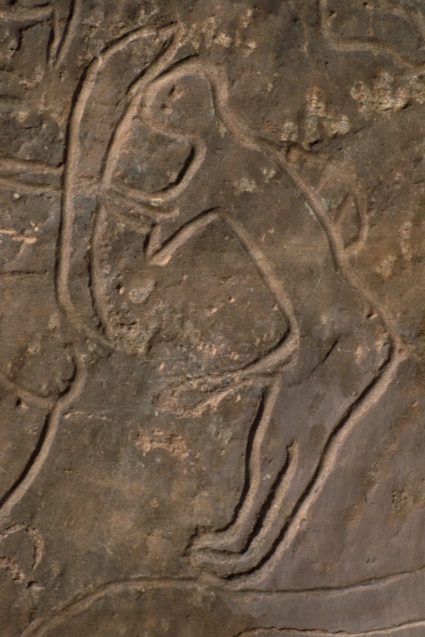 Postać ludzka i głowa byka (rzeźba naskalna) autorstwa Prehistoric