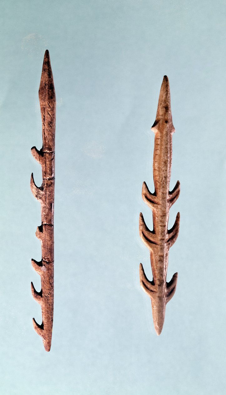 Dwa harpuny, okres górnego paleolitu, 35000-10000 pne (krzemień) autorstwa Prehistoric