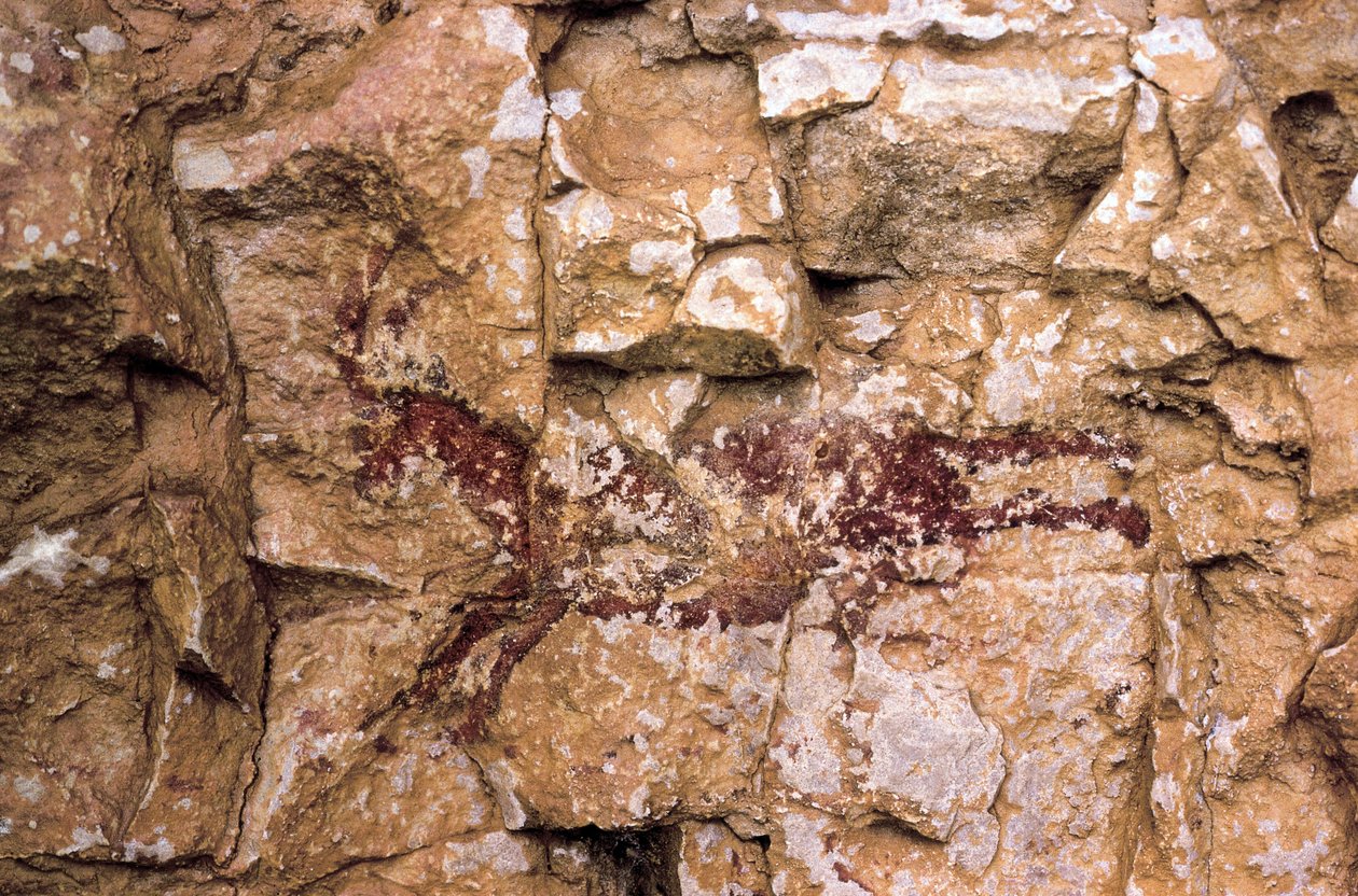 Biegnąca koza, okres mezolitu, Hiszpania, jaskinia Remigia, Barranco de la Gasulla, Ares del Maestre (obraz) autorstwa Prehistoric Prehistoric