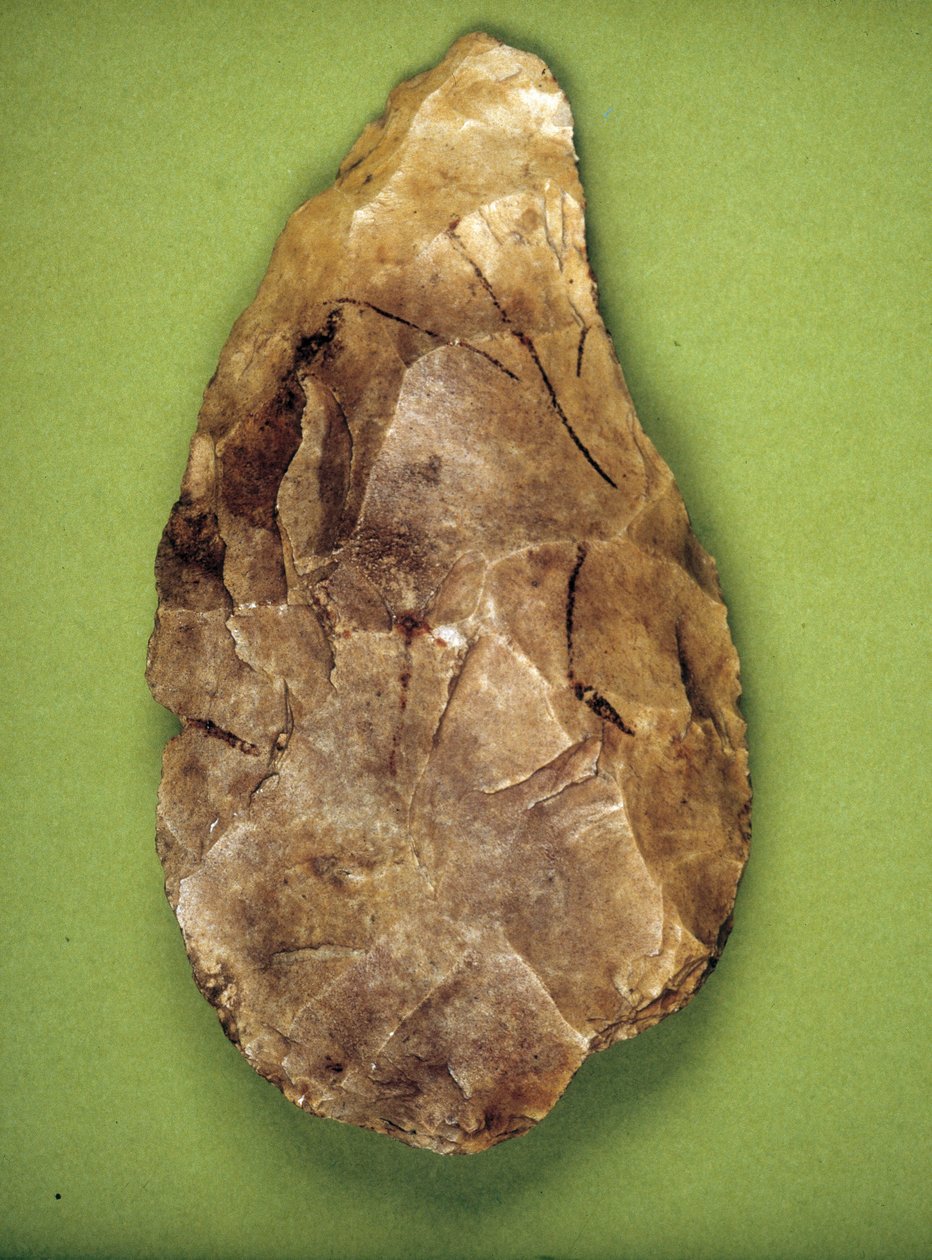 Polerka aszelska (środkowy paleolit) Museo archeologico de Milan autorstwa Prehistoric Prehistoric