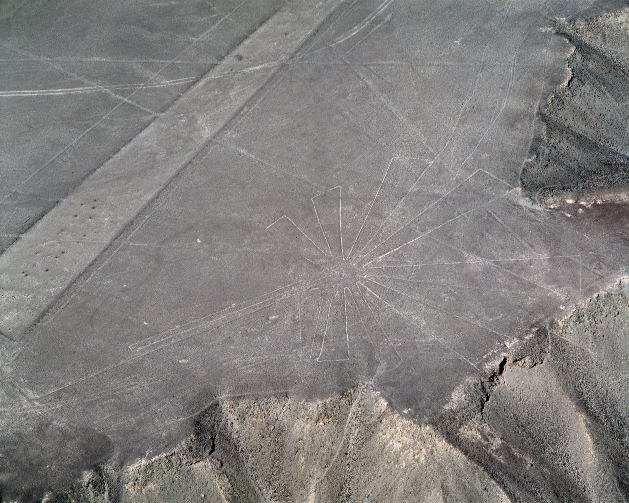 Widok z lotu ptaka na linie Nazca (zdjęcie) autorstwa Prehistoric Prehistoric