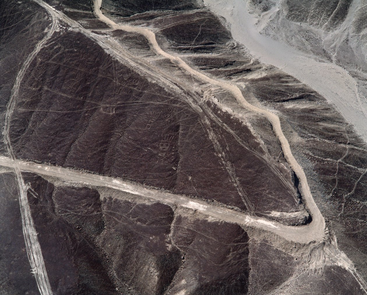 Widok z lotu ptaka na linie Nazca (zdjęcie) autorstwa Prehistoric Prehistoric