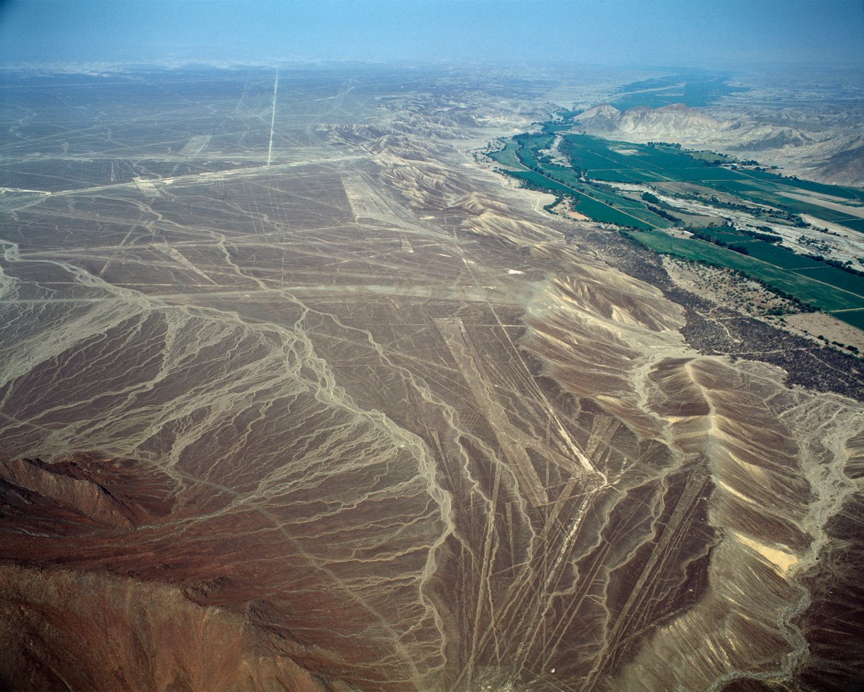 Widok z lotu ptaka na linie Nazca przedstawiające postać ptaka (zdjęcie) autorstwa Prehistoric Prehistoric
