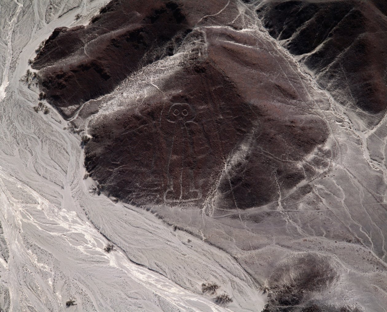 Widok z lotu ptaka na linie Nazca przedstawiające postać ludzką (zdjęcie) autorstwa Prehistoric Prehistoric