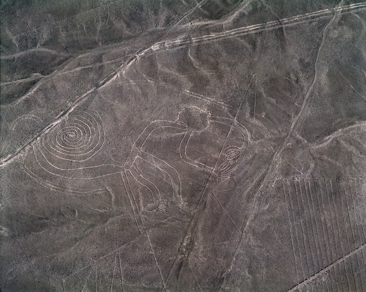 Figura małpy z lotu ptaka, Linie Nazca (zdjęcie) autorstwa Prehistoric Prehistoric