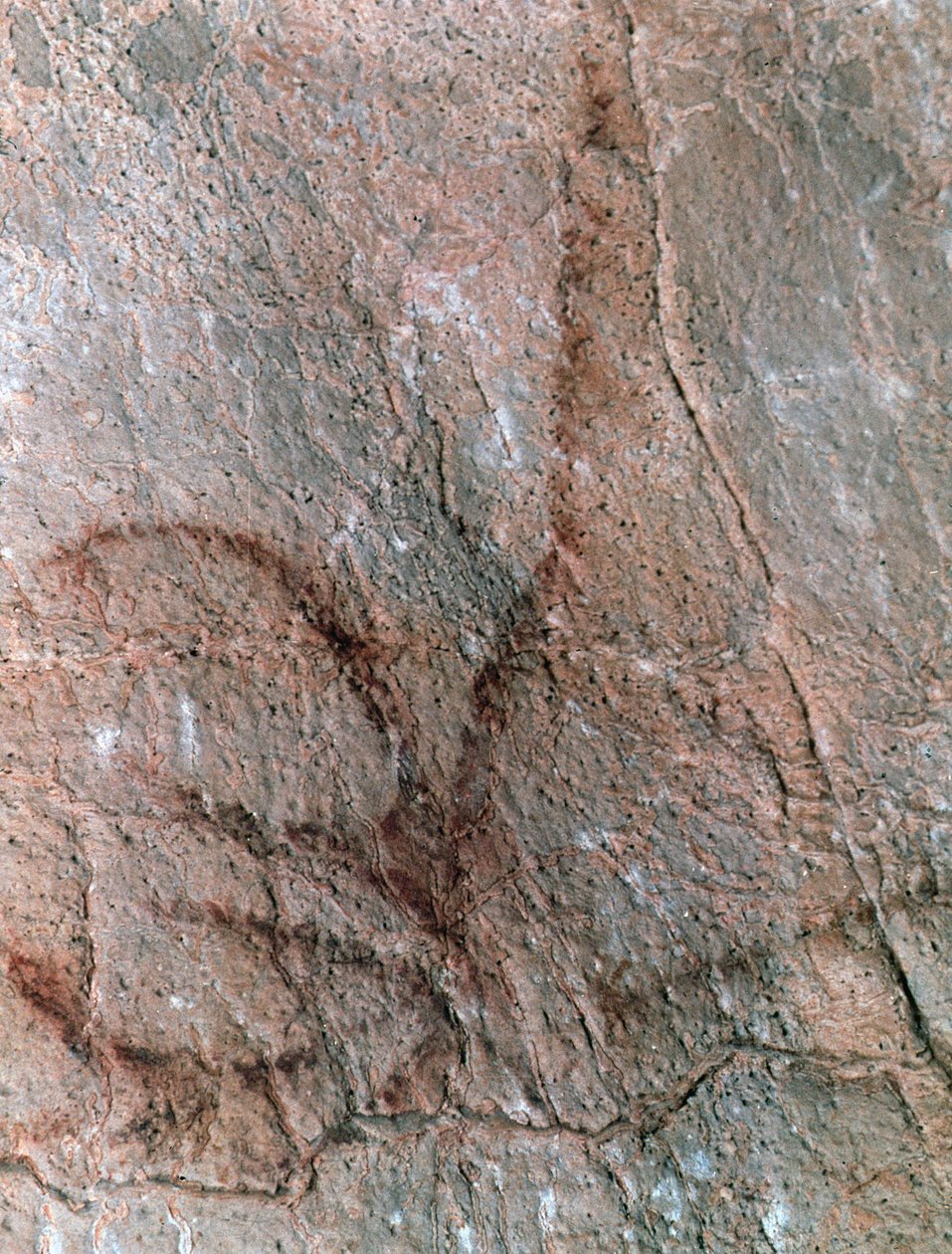  autorstwa Prehistoric Prehistoric