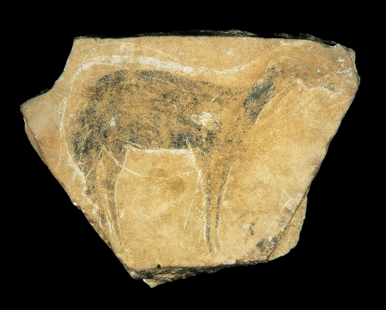 Czarna łania, jaskinia Parpallo, Hiszpania, górny paleolit (malarstwo) autorstwa Prehistoric Prehistoric