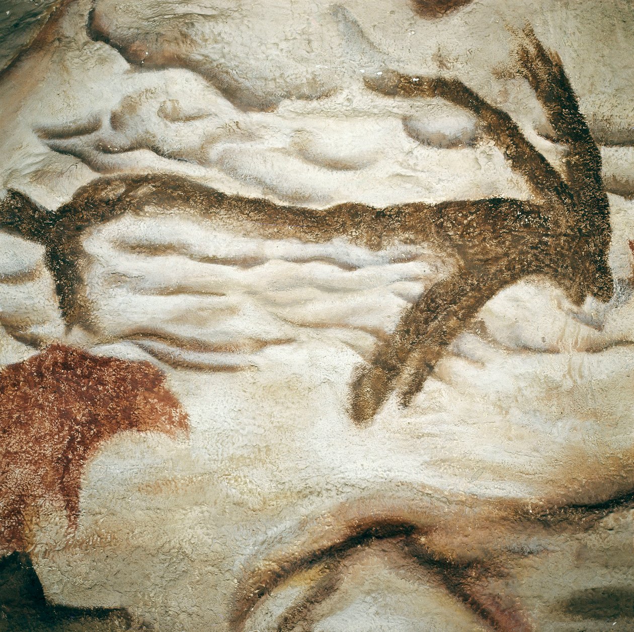 Malowidło naskalne Cervida, Cave de Lascaux, Dordogne, Francja, górny paleolit (magdalen) 13000 lat temu (malarstwo) autorstwa Prehistoric Prehistoric