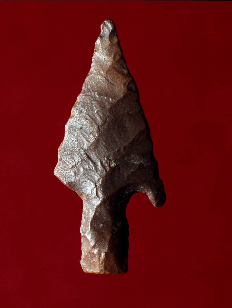 Starożytność egipska: grot strzały ze stanowiska Fajum (Fajum lub Fajum) w Egipcie. Okres predynastyczny. Verone, Museo Civico di Storia Naturale, Włochy autorstwa Prehistoric Prehistoric