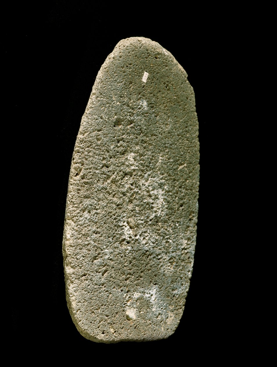 Prehistoria: kamienne narzędzie używane do mielenia pszenicy. Neolityczny. Umbria, Włochy. Perugia, Narodowe Muzeum Archeologiczne Umbrii autorstwa Prehistoric Prehistoric