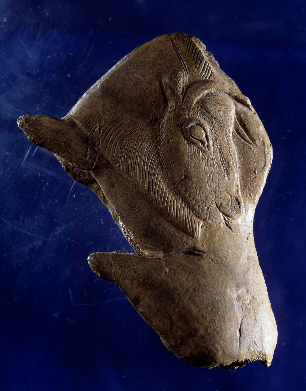 Sztuka prehistoryczna (górny magdalen): „”Żubr wstający”” Rzeźba w drewnie renifera ze schronu Madeleine w Dordogne. 11000 pne. Słońce 0,10m. Saint Germain en Laye, Narodowe Muzeum Archeologiczne autorstwa Prehistoric Prehistoric
