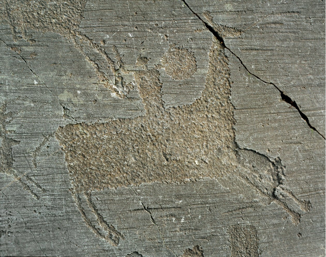 Prehistoria, cywilizacja Camunni, sztuka naskalna: nagrobna skała przedstawiająca wojownika na koniu z tarczą. Okres między neolitem a epoką brązu. Capo di Ponte, Park Narodowy Naquane Rock Carvings, Valcamonica, Val Camonica, Włochy autorstwa Prehistoric Prehistoric