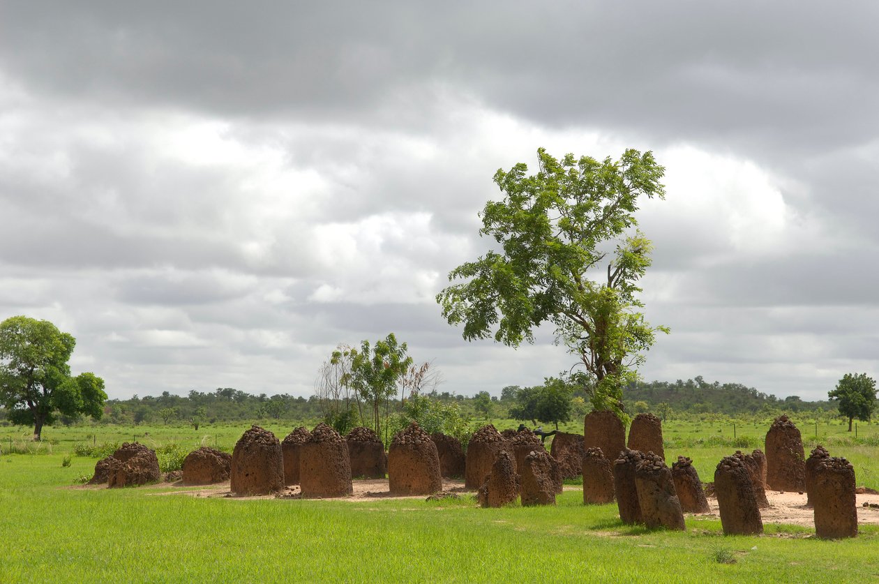 Prehistoria: Megalityczny krąg kamieni z Wassu w Gambii (foto) autorstwa Prehistoric Prehistoric