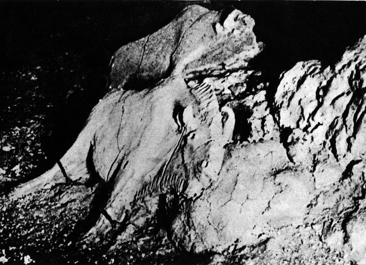 Prehistoria: sztuka paleolityczna, dwa gliniane żubry, jaskinia Tuc d