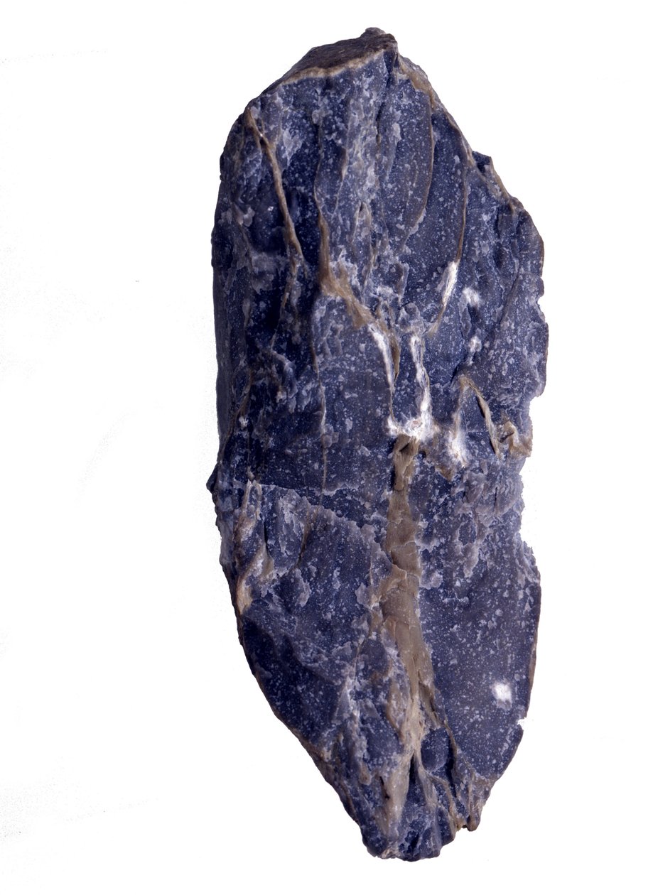 Prehistoria: Okresy archeozoicznego lub prekambryjskiego (archaicznego) fragmentu skały Collenia typu stromatolitowego lub stromatolitowego. Ze Stanów Zjednoczonych. autorstwa Prehistoric Prehistoric