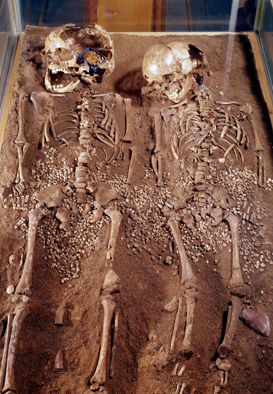 Prehistoria: szkielety dwojga dzieci. 30000-25000 pne. Z jaskini Grimaldi. Saint Germain en Laye, Muzeum Archeologii Narodowej autorstwa Prehistoric Prehistoric