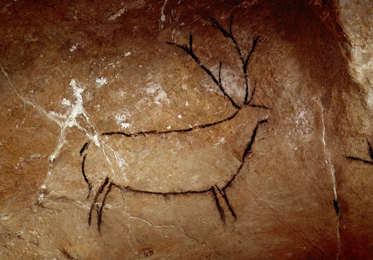 Prehistoria: jeleń. Malowidło jaskiniowe z górnego paleolitu (magdalen) (16 500 i 14 000 lat temu). Wiek kamienia. Jaskinia Las Chimeneas, Monte Castillo, Hiszpania autorstwa Prehistoric Prehistoric