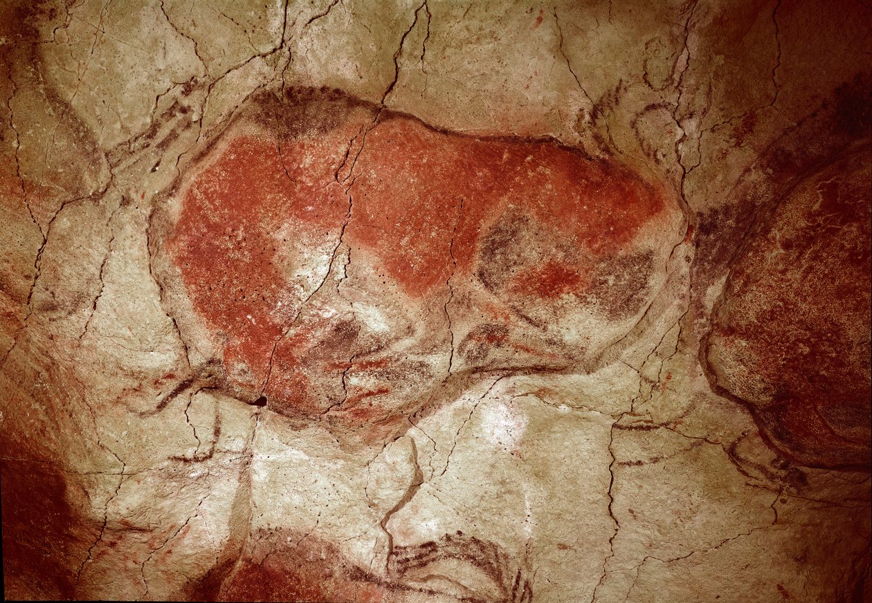 Prehistoria: „”odpoczywający żubr”” malowidło naskalne górnego paleolitu (magdalen) (między 16500 a 14000 lat temu) Jaskinia żubra z epoki kamienia, Altamira, Santander, Hiszpania - Prehistoria: żubr w stanie spoczynku. malarstwo naskalne, górny paleolit ( autorstwa Prehistoric Prehistoric