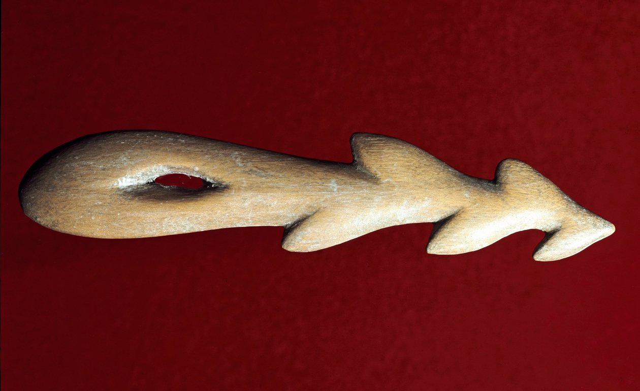 Prehistoria: kościany harpun używany do łowienia ryb. Kultura magdaleńskiego, górnego paleolitu. Werona, Museo Civico di Storia Naturale autorstwa Prehistoric Prehistoric